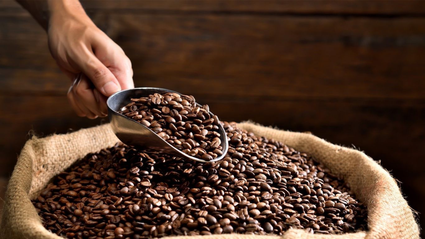 México perfila su ingreso al top 5 mundial del café: más producción y valor rural