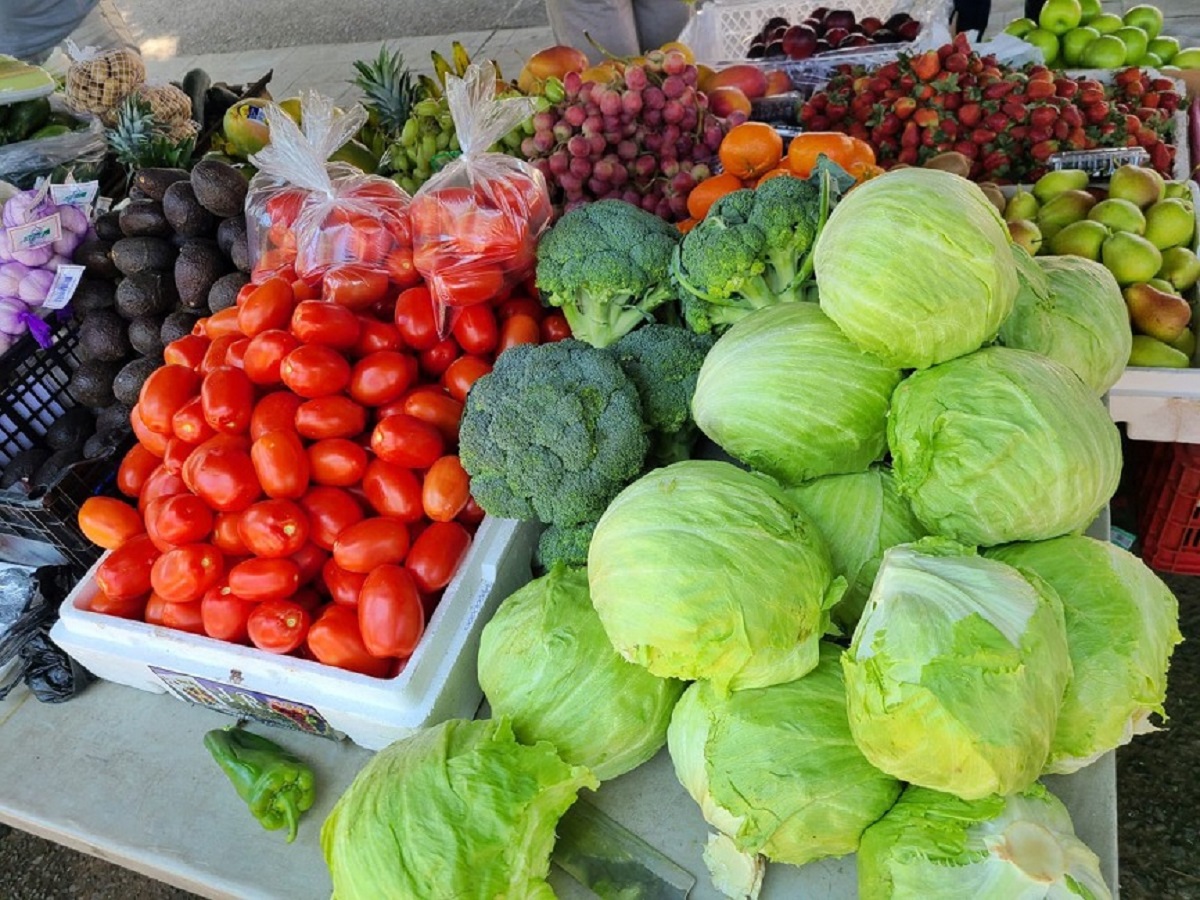 Nicaragua asegura alimentos: tomate y repollo alcanzan producción récord este junio
