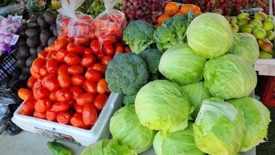 Nicaragua asegura alimentos: tomate y repollo alcanzan producción récord este junio