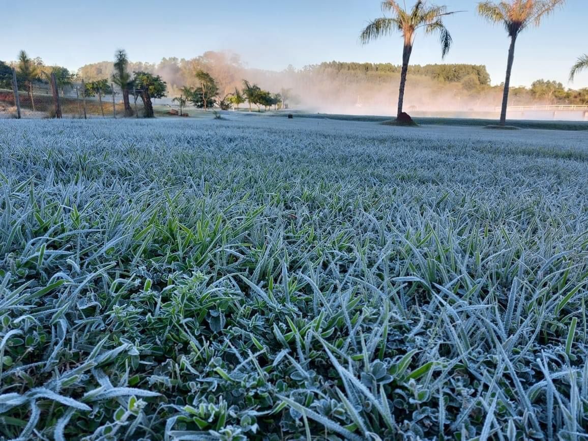 Ola de frío y lluvias breves: el agro chileno se prepara para un invierno de alto riesgo