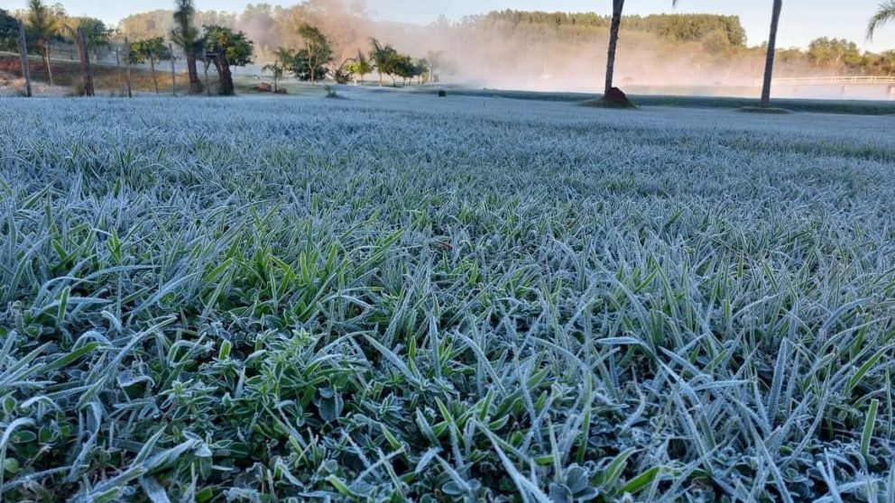 Ola de fro y lluvias breves: el agro chileno se prepara para un invierno de alto riesgo