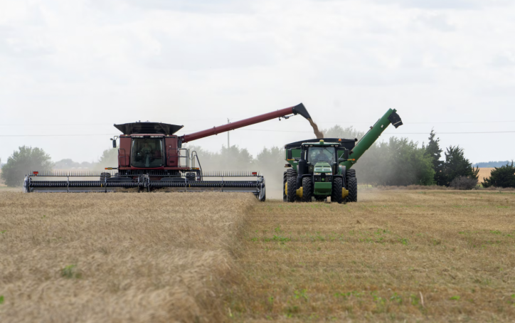 When amber waves fade: Heartland wheat farms at a crossroads