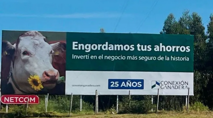 Operación "Conexión Ganadera": hallan bienes millonarios vinculados a Basso, Carrasco, Iewdiukow y Cabral