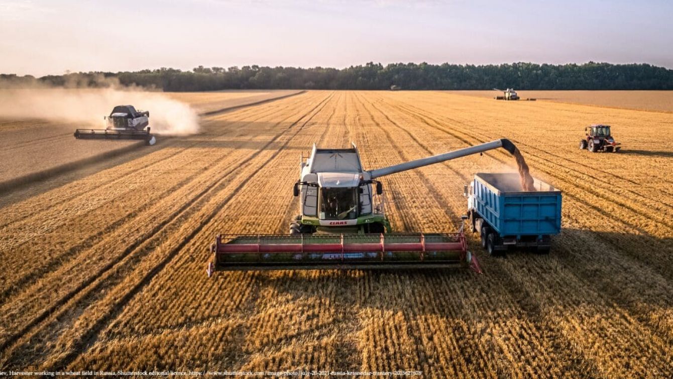 Incertidumbre global y tensiones locales complican el panorama para el agro argentino