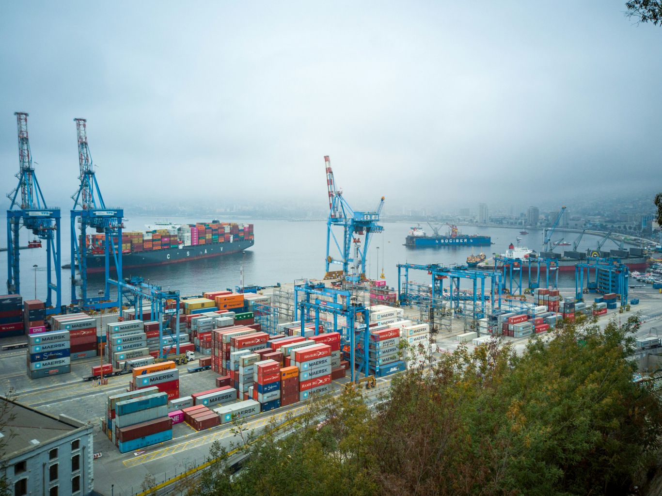 Chile digitaliza su ganadería: el SAG acelera los tiempos para exportar y busca blindar la trazabilidad