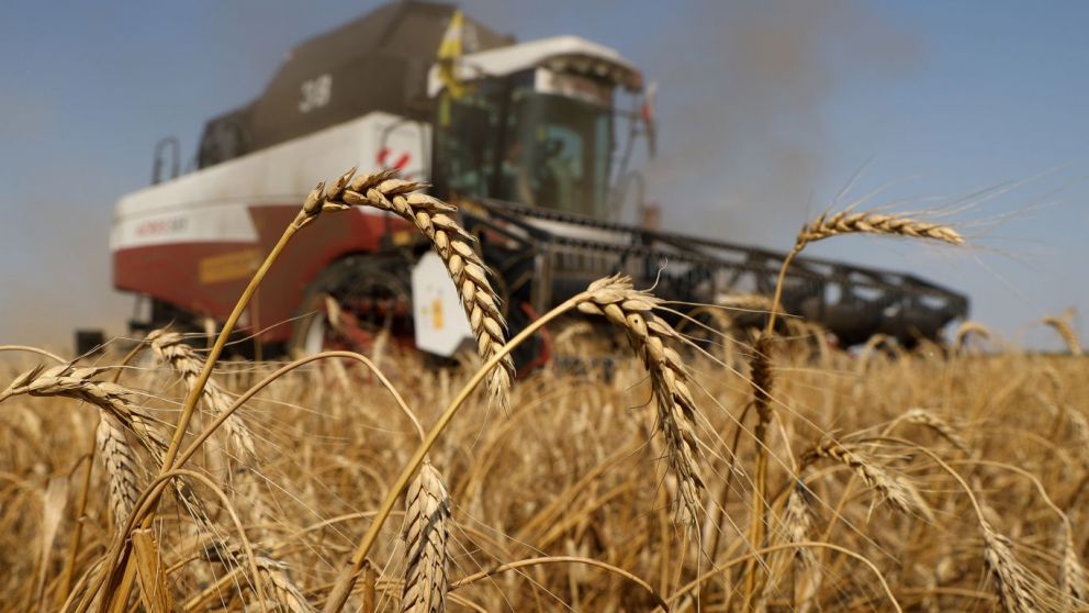 Historic drought pushes up coffee, wheat and beef prices