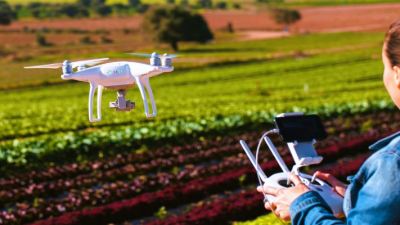 Innovación en el agro salvadoreño: IICA impulsa proyectos de agricultura digital y sostenibilidad