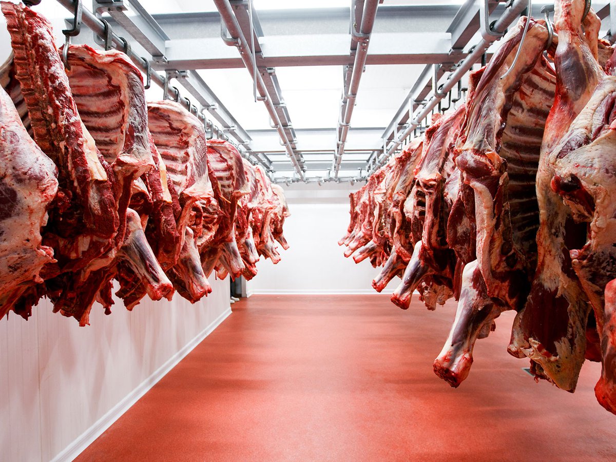 Carne paraguaya sin freno: las exportaciones a Israel continúan pese a la guerra
