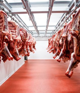 Carne paraguaya sin freno: las exportaciones a Israel continúan pese a la guerra