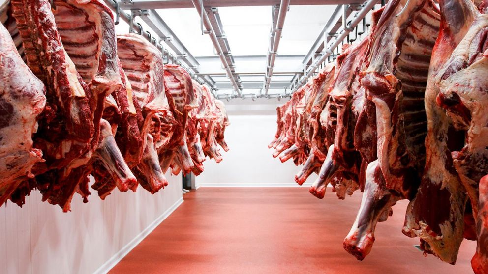 Carne paraguaya sin freno: las exportaciones a Israel continan pese a la guerra