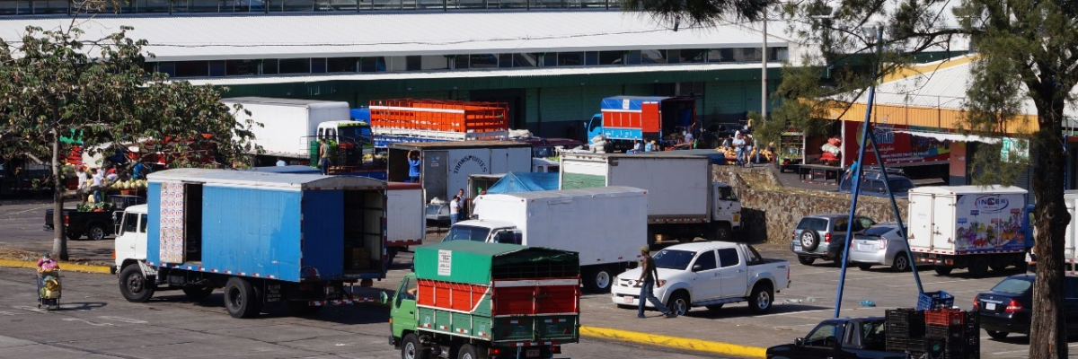 CENADA: Guía de productos de temporada para Semana Santa 2025