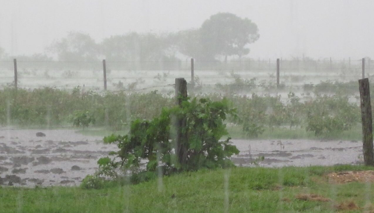 Alerta en el sur de Brasil: lluvias intensas ponen en riesgo cultivos y logística agropecuaria