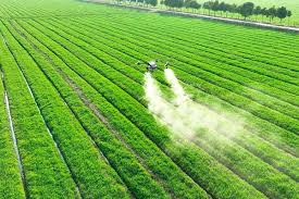 La revolución verde de los pesticidas: Brasil acelera el desarrollo de soluciones sustentables