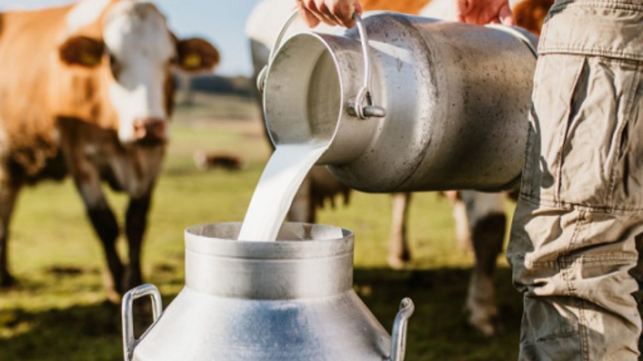 Tensión en la cadena láctea: suben los precios por caída en la producción de leche en Ecuador