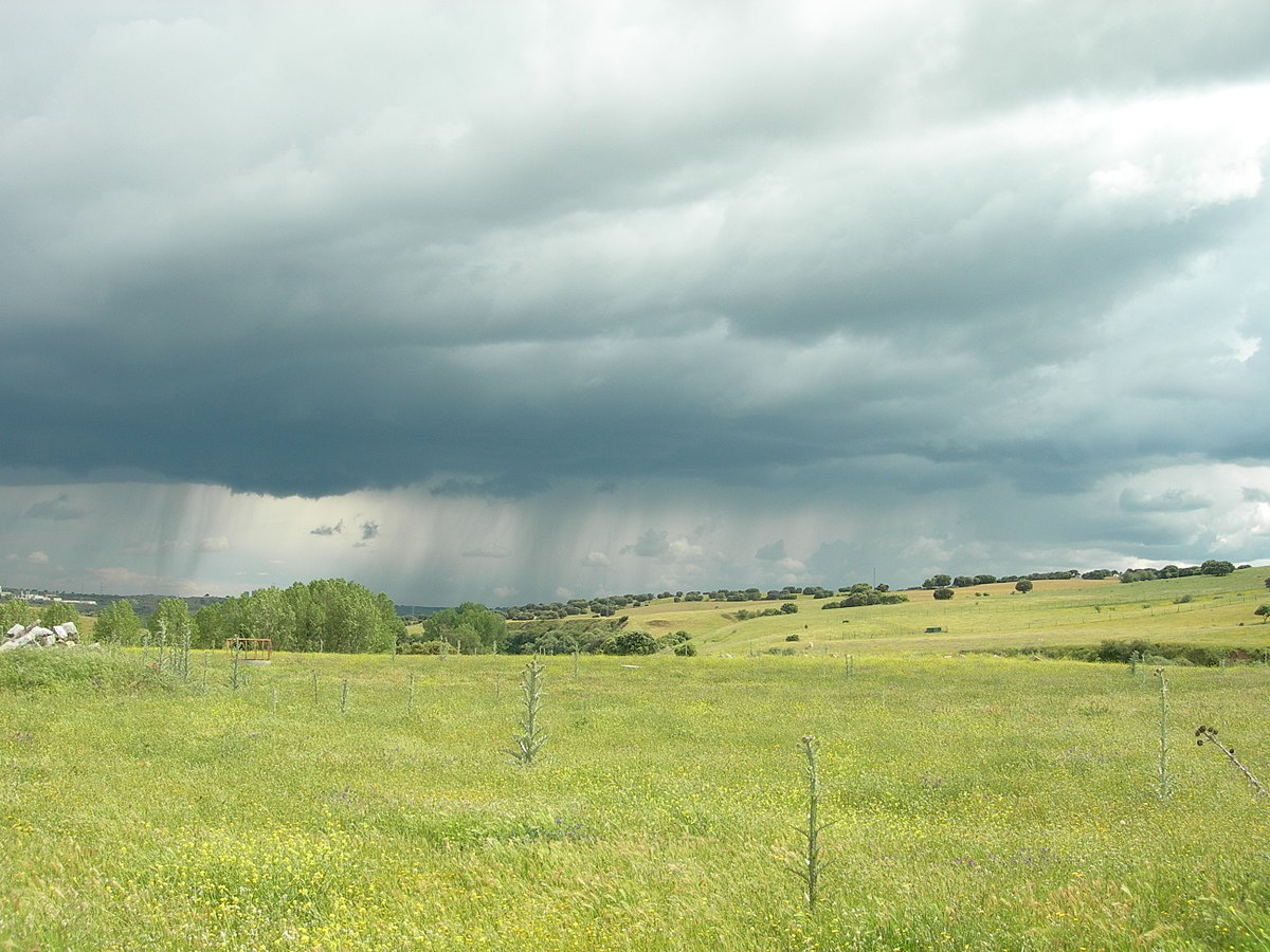 El campo mexicano en alerta: lluvias intensas impactan al sector agropecuario en el norte y sureste
