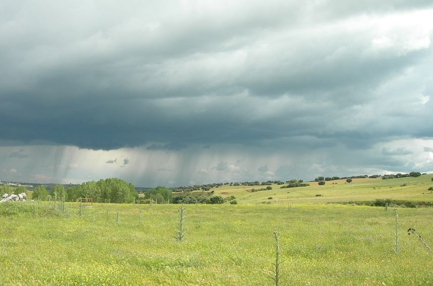 El campo mexicano en alerta: lluvias intensas impactan al sector agropecuario en el norte y sureste