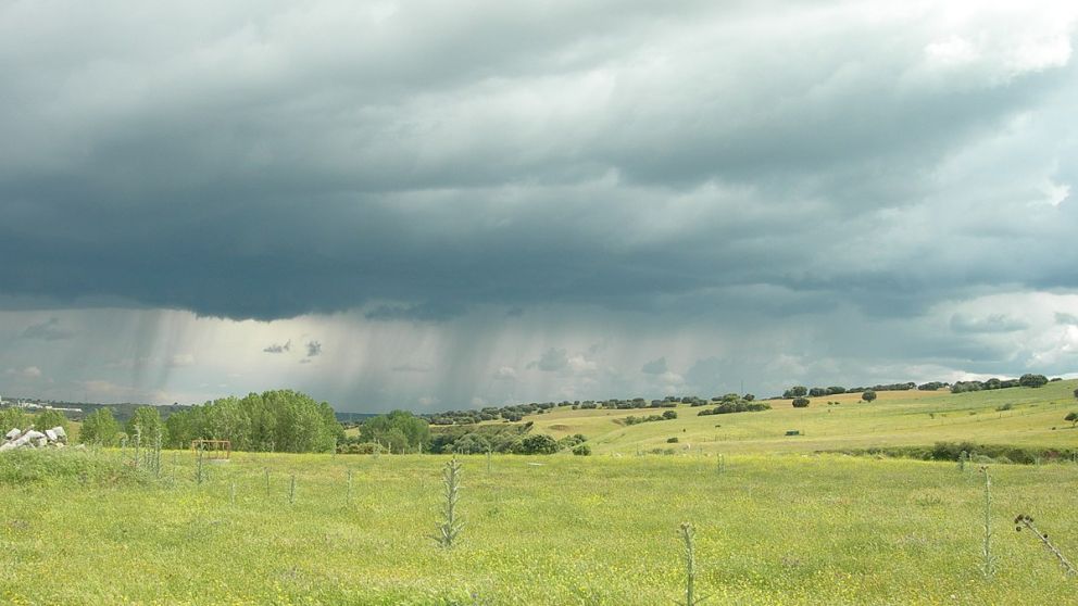 El campo mexicano en alerta: lluvias intensas impactan al sector agropecuario en el norte y sureste