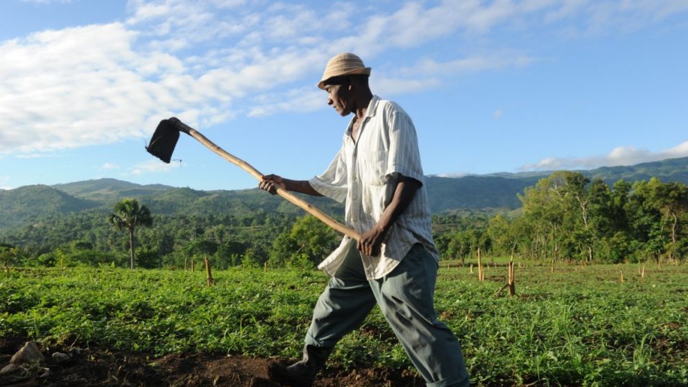 Hait apuesta por una diplomacia agrcola para fortalecer su soberana alimentaria