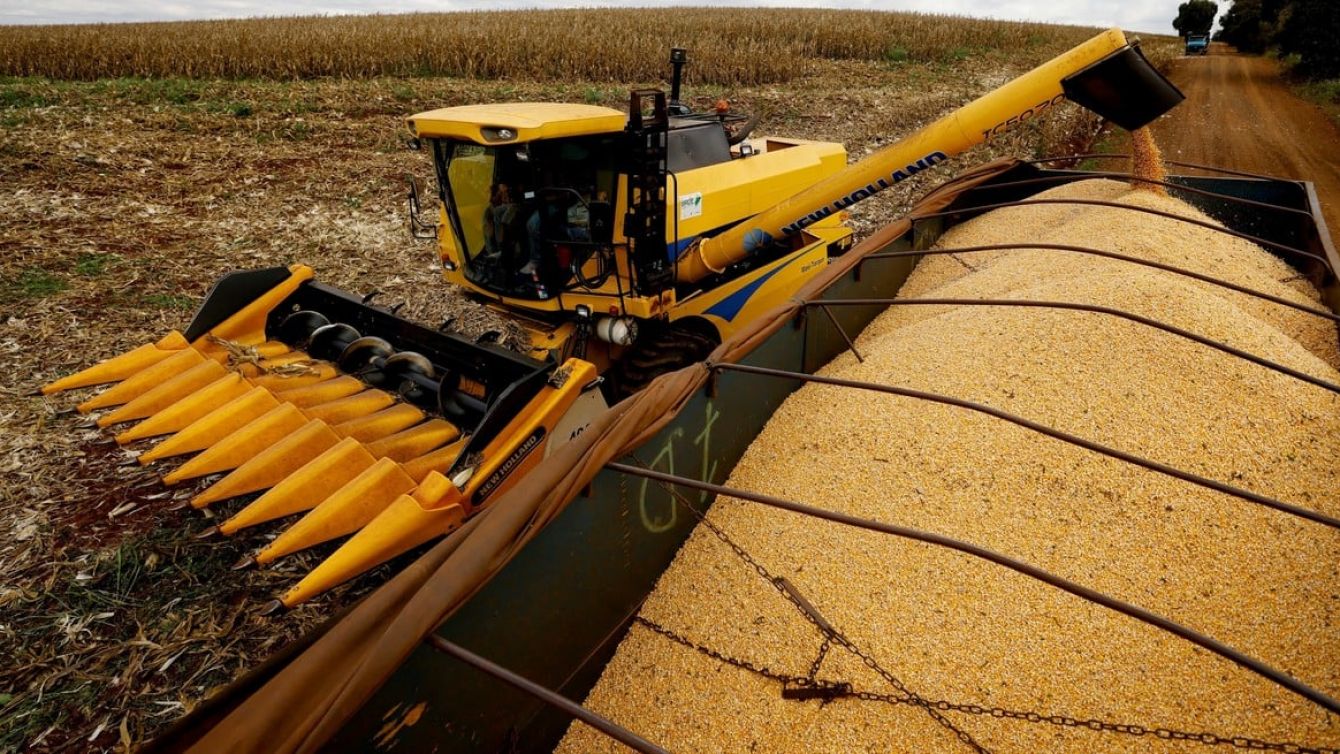 Entorno global tenso, dudas locales y una decisión clave para el agro argentino
