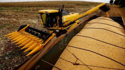 Entorno global tenso, dudas locales y una decisión clave para el agro argentino