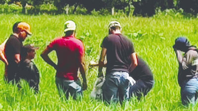 INIA realiza jornadas científico-divulgativas para fortalecer el conocimiento agrícola