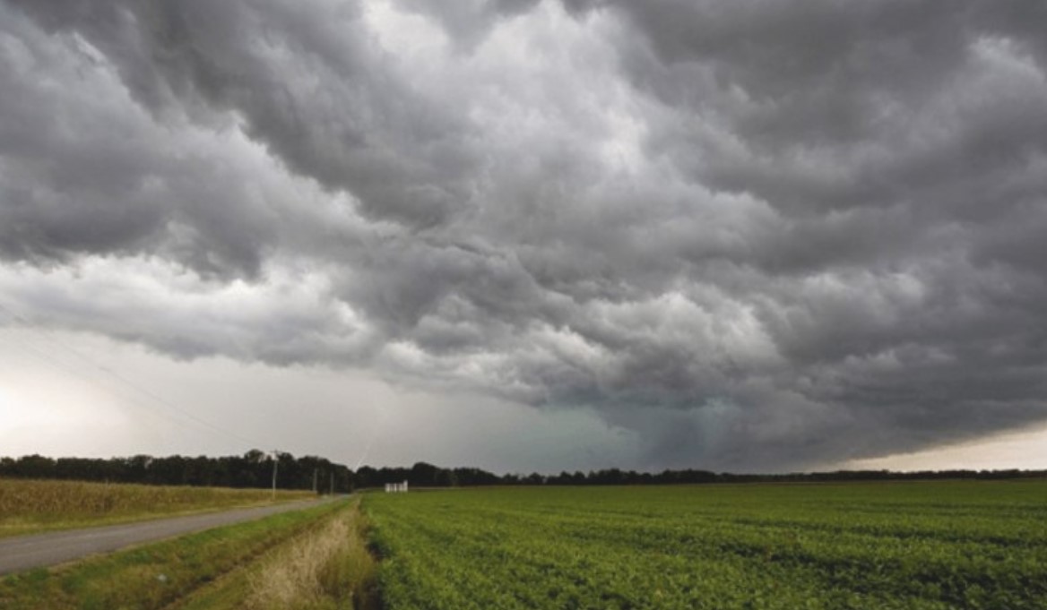 Advertencia meteorológica en Brasil: fuertes lluvias y vientos impactarán zonas productivas del sur, sudeste y centro-oeste