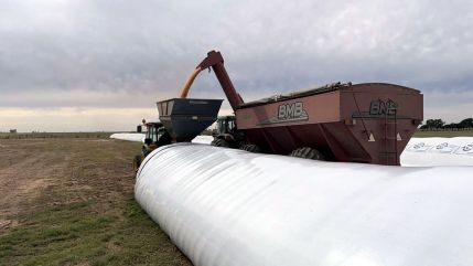 Granos en Vilo: Geopolítica, clima y retenciones marcan semanas decisivas