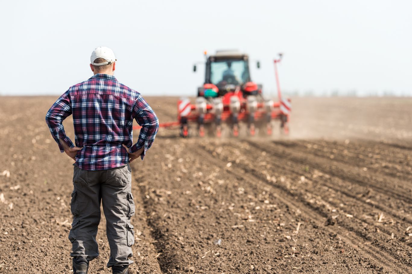 Grain dealer Statutes: 8 key provisions U.S. Farmers must know