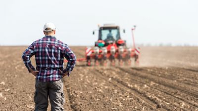 Grain dealer Statutes: 8 key provisions U.S. Farmers must know