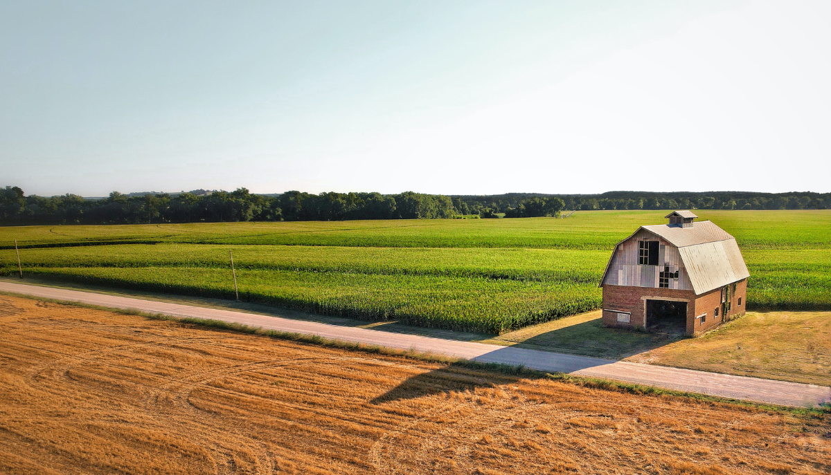 Government payments push Kansas farm income to 20-year high in 2025 while high input costs strain crop producers and global risks persist