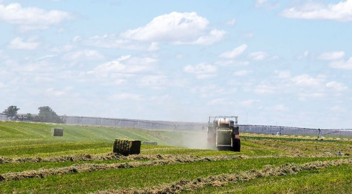 Government payments push Kansas farm income to 20-year high in 2025 while high input costs strain crop producers and global risks persist