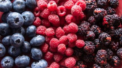 Berries peruanas: el fruto que conquista mercados y ya está entre los cinco grandes del agro