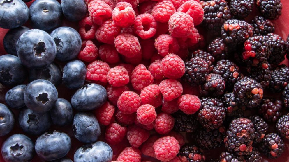Berries peruanas: el fruto que conquista mercados y ya est entre los cinco grandes del agro