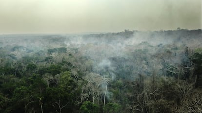 Hogar en llamas: el éxodo forzoso de los indígenas bolivianos tras los incendios