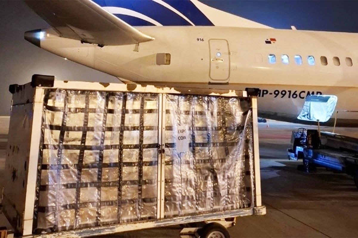 Rosario abre alas: histórico primer envío aéreo de carne vacuna a Panamá