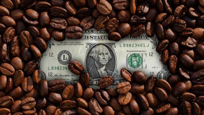 El peso de la cosecha brasileña: el café arrastra su precio a la baja en Nueva York