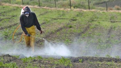 Importación agropecuaria bajo amenaza: Riesgo latente para la campaña 2025-2026