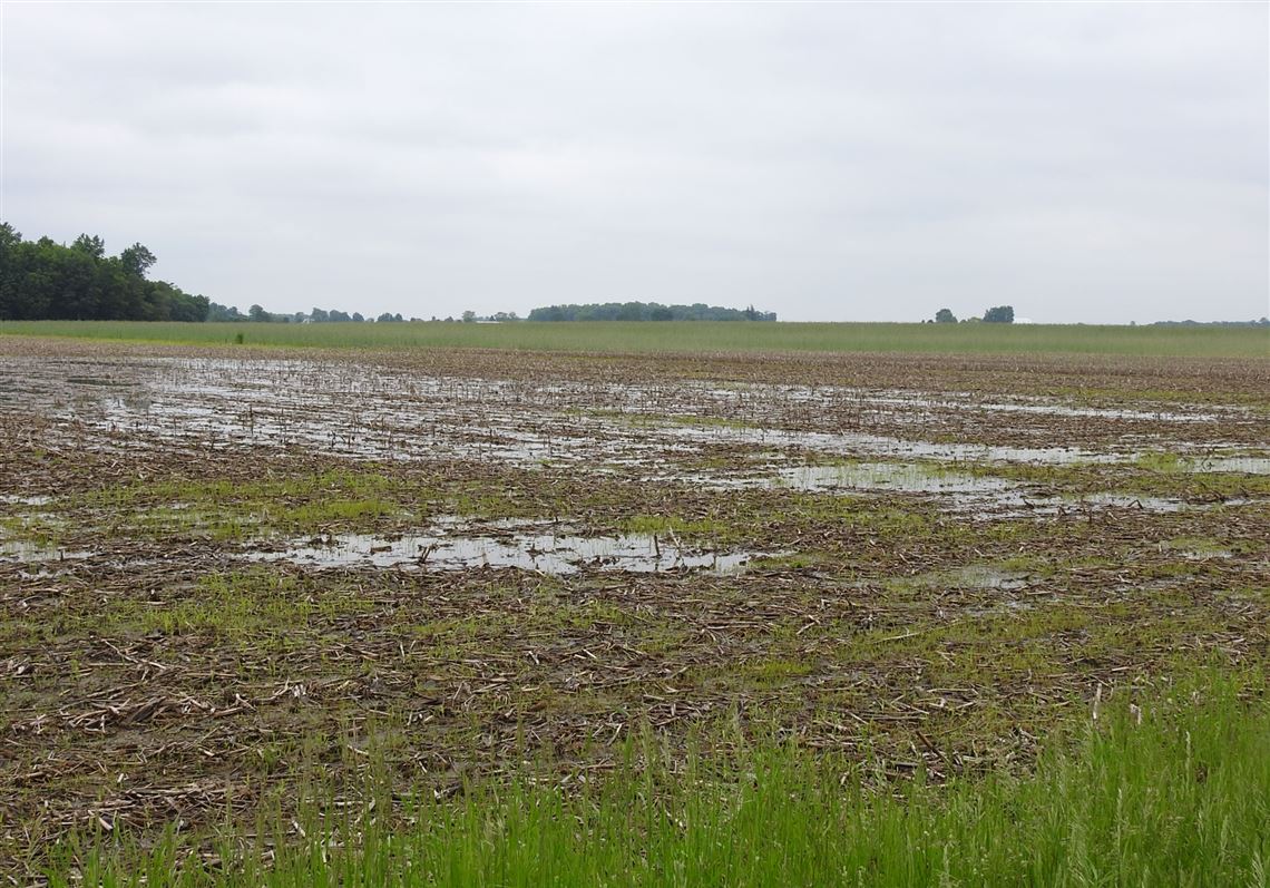 Ohio Farmers face unprecedented risk: Some may skip planting entirely