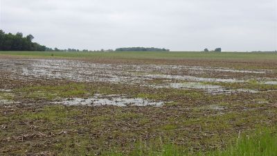 Ohio Farmers face unprecedented risk: Some may skip planting entirely