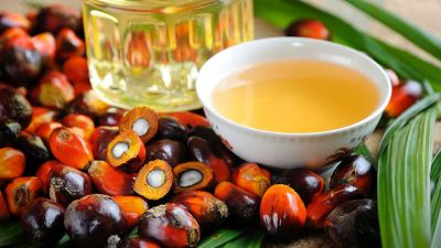 Efecto dominó en el mercado de aceites: la soja hunde los precios del aceite de palma