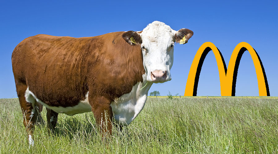 McDonald's boycott buzz may reshape beef demand trends