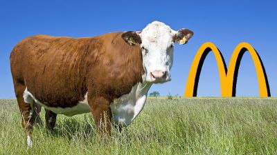 McDonald's boycott buzz may reshape beef demand trends