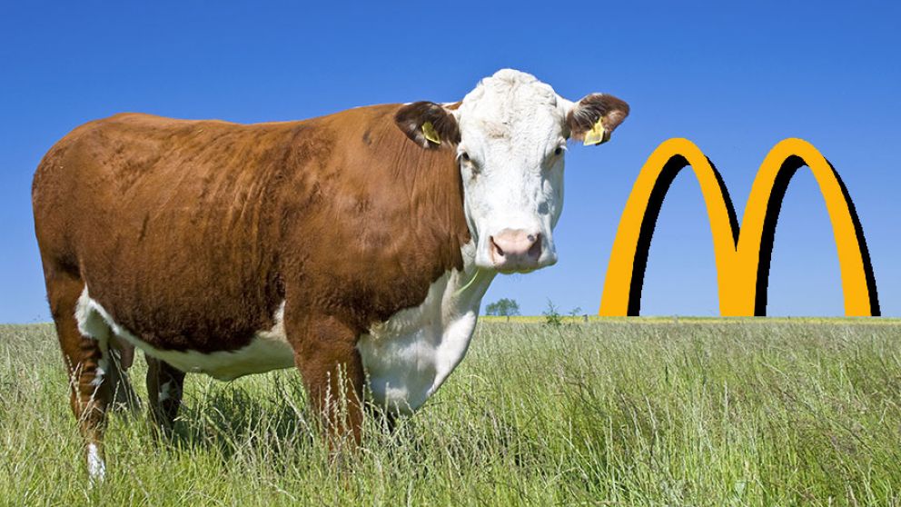 McDonald's boycott buzz may reshape beef demand trends