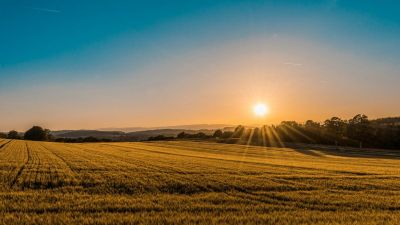 Clima Extremo: Heladas en Argentina y ola de calor en EE.UU. Complican la campaña agrícola