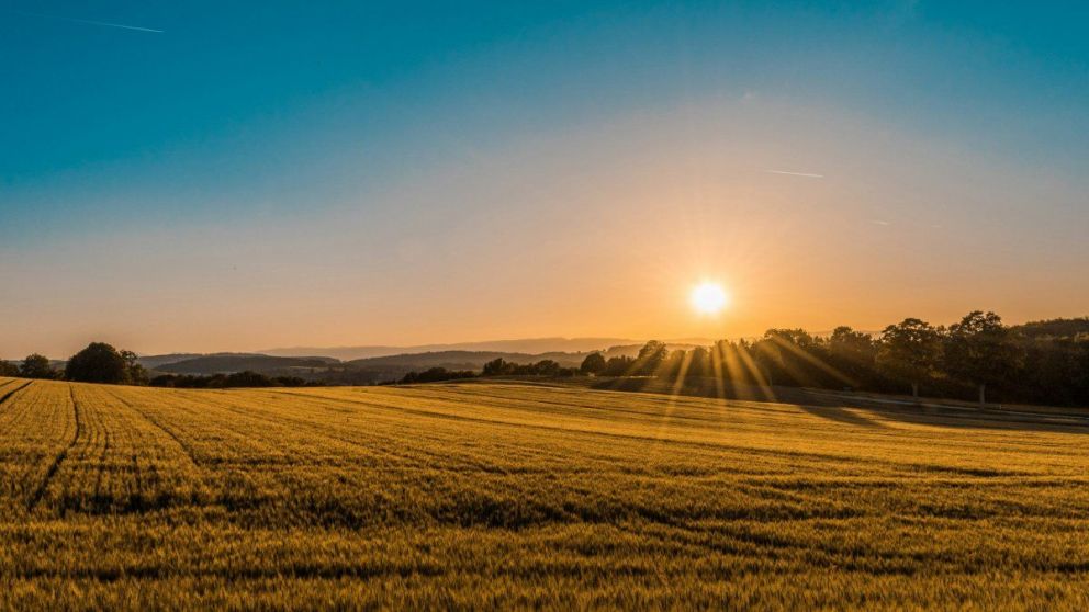 Clima Extremo: Heladas en Argentina y ola de calor en EE.UU. Complican la campaa agrcola