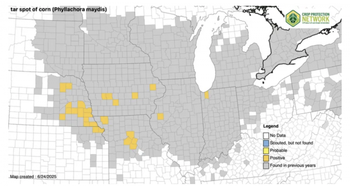 Illinois crops in limbo: Will they bounce back?