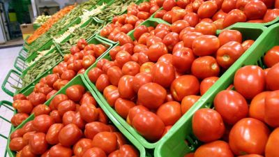Tampico registra alivio en precios del tomate y limón: pequeños productores respirarán