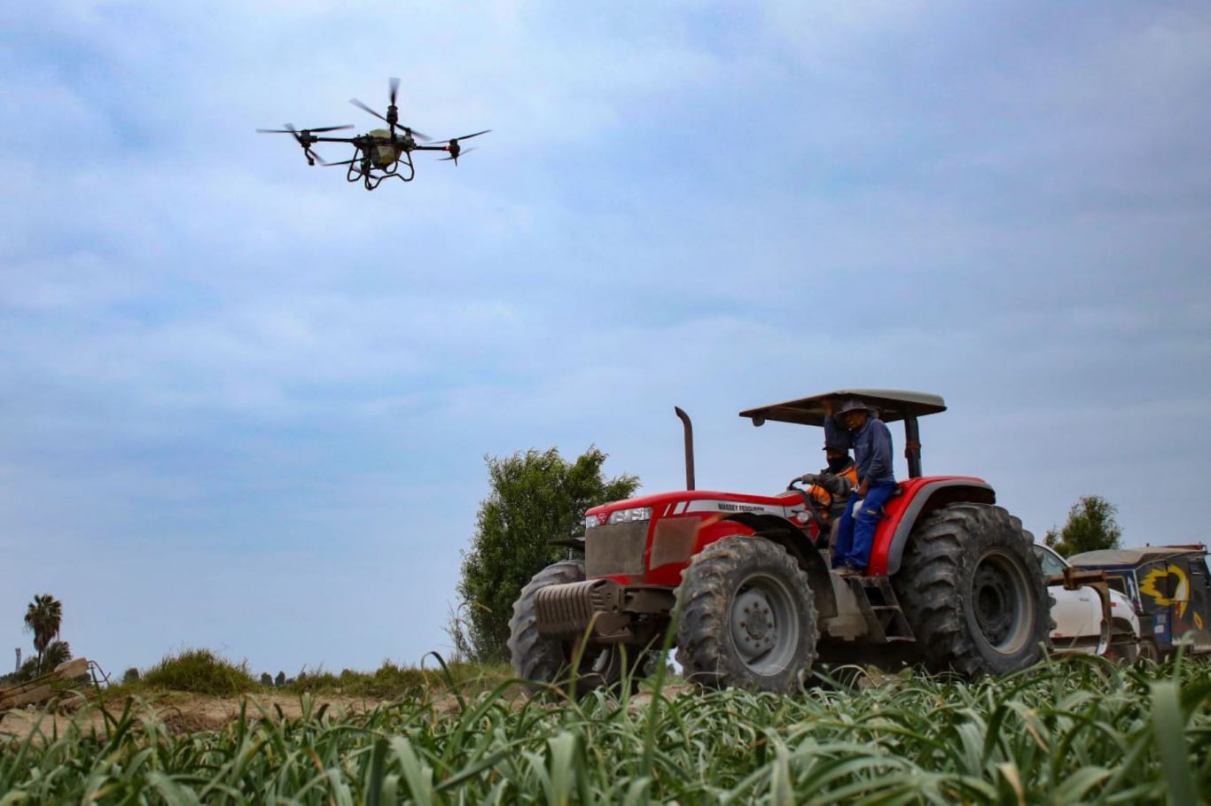 Cuatro megaproyectos peruanos prometen duplicar las agroexportaciones: una apuesta de futuro
