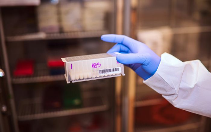 Unexpected jump of bird flu into dairy cattle raises alarm across U.S. farms