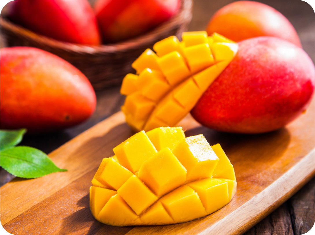 Floración de mango en São Paulo toma impulso y despierta expectativas para la próxima cosecha